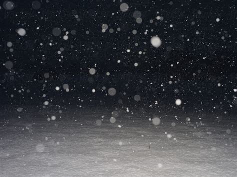 "Snowfall At Night" by Stocksy Contributor "Rolfo" - Stocksy