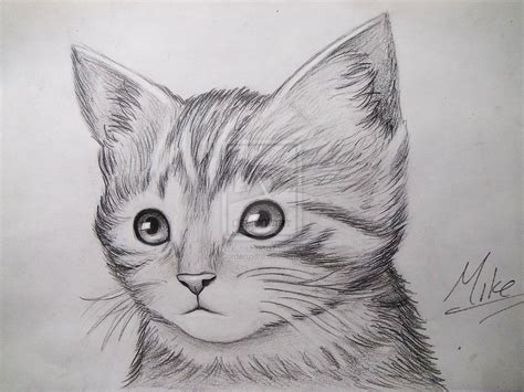 Realistic Easy Cat Pencil Drawing - Draggolia