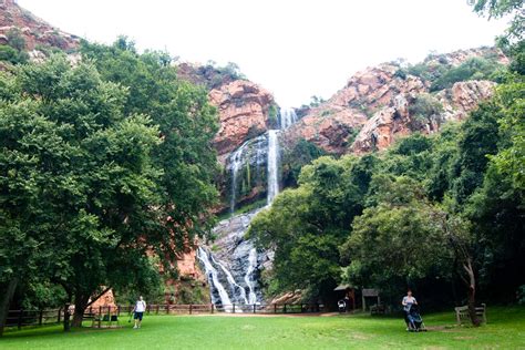 About Walter Sisulu National Botanical Gardens in Roodepoort