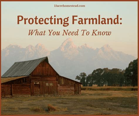 Protecting Farmland What You Need To Know - 15 Acre Homestead