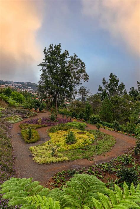 Botanical Gardens Madeira - All You Need To Know