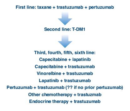 Optimizing Anti-HER2 Treatment for Metastatic Breast Cancer in 2013 - The ASCO Post