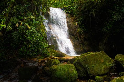 Waterfall in Jungle · Free Stock Photo