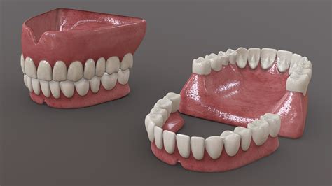 Human Teeth - Buy Royalty Free 3D model by Rossty3D [cc44118 ...