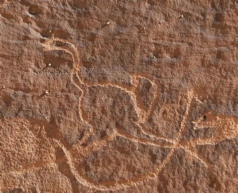 Ostrich - Arabian Rock Art Heritage