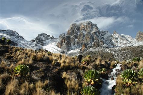Glorious solitude on Mt Kenya - Lonely Planet