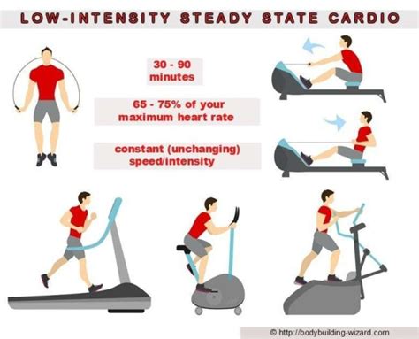 Low-Intensity Steady State Cardio Training ("LISS") • Bodybuilding Wizard