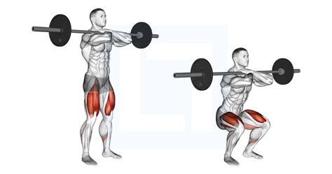 Barbell Rack Pull - Guide, Benefits, and Form