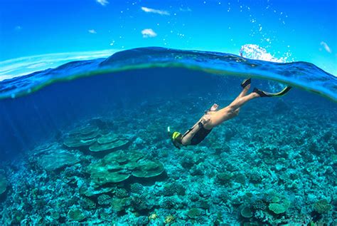 Best Snorkeling in Cozumel | Cancun Adventures