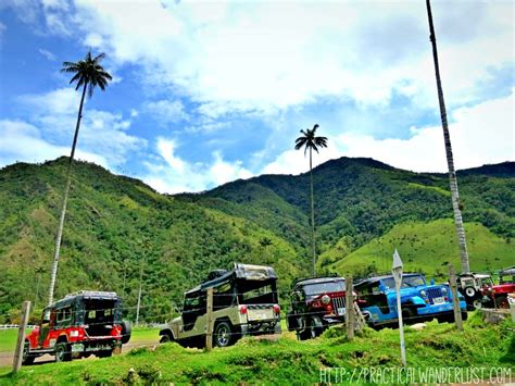 Our Disastrous Guide to Hiking Valle de Cocora in Salento, Colombia