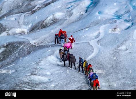 Hiking on glacier in Patagonia Stock Photo - Alamy