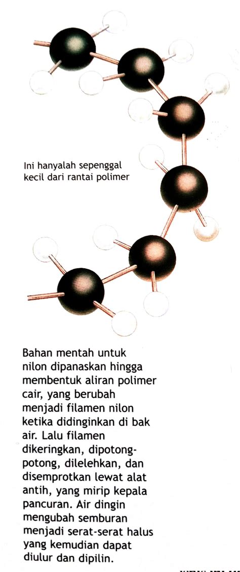 𝐏𝐎𝐋𝐈𝐌𝐄𝐑 𝐃𝐀𝐍 𝐍𝐈𝐋𝐎𝐍 - Teknik Material dan Metalurgi - Dictio Community