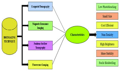 Left side shows different techniques used for bio-imaging. Right side ...