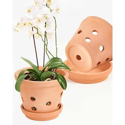 8 Inch Clay Orchid Pots with Drainage Holes 2 Pcs Small Terracotta ...