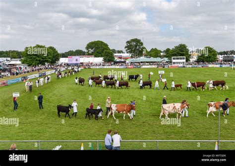 Ardingly showground hi-res stock photography and images - Alamy