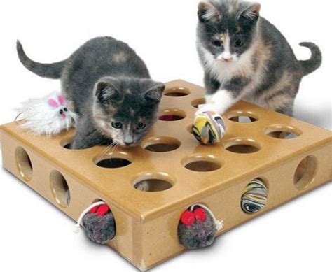 Cat Enrichment Toys | Wow Blog