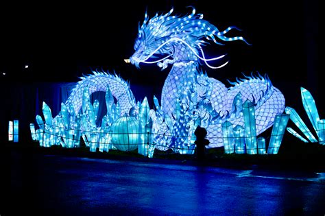 Wild Lanterns is back at Woodland Park Zoo with more animals, more ...