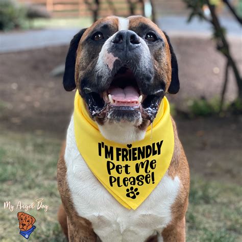 I'M FRIENDLY Pet Me Please Dog Bandana for Large Dogs | Etsy