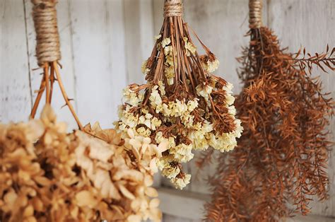 How to Dry Flowers With Laundry Borax