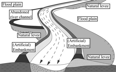 Schematic illustration of natural levees in the floodplain | Download Scientific Diagram