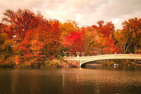 New York City In Autumn - Central Park Photograph by Vivienne Gucwa