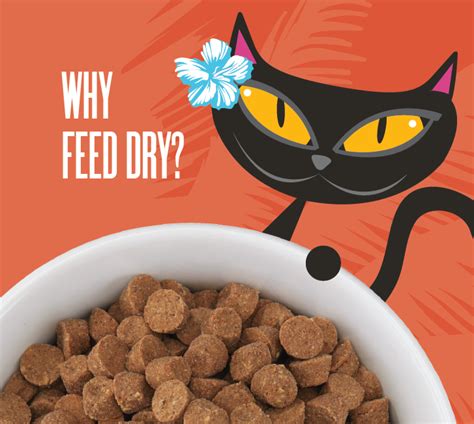 The Benefits of Dry Cat Food - Tiki Pets