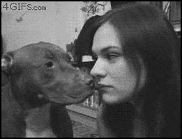 Dog Kiss GIF - Find & Share on GIPHY