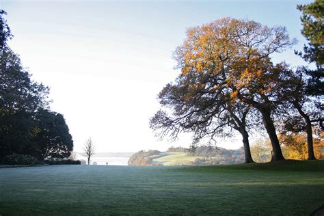 Pin on Trelissick garden