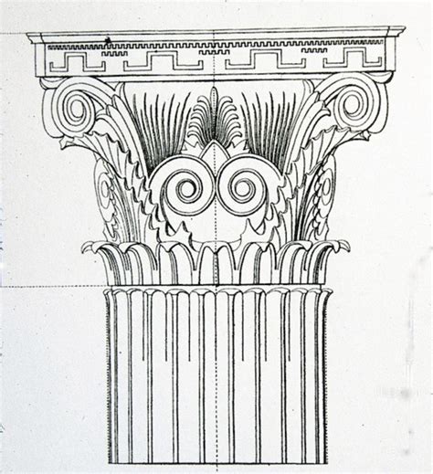 Corinthian Column Drawing at PaintingValley.com | Explore collection of ...