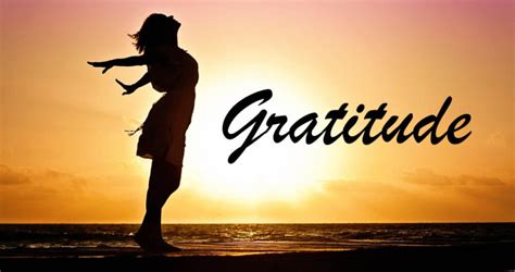 A Life of Gratitude | Essence Of Qatar