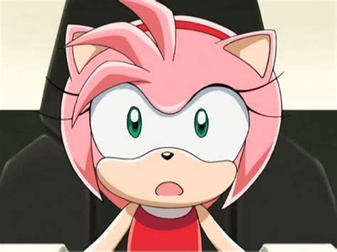 Amy Rose Sonic X by SonicX342 on DeviantArt