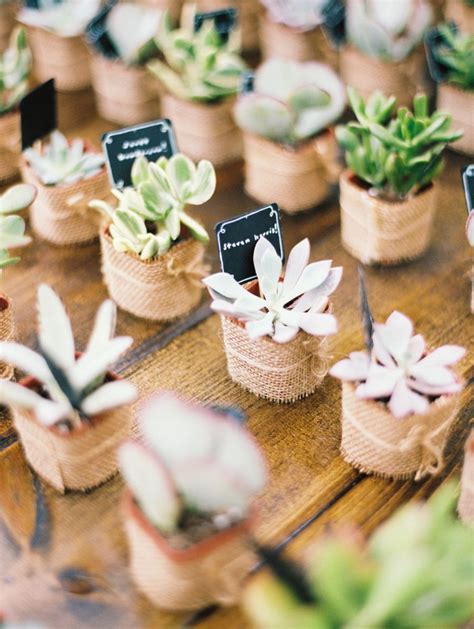 Organic and Elegant Laurel Hall Wedding | Succulent wedding favors, Creative wedding favors ...