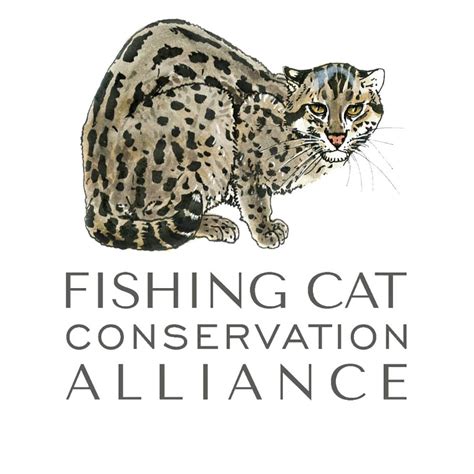 Fishing Cat Conservation Alliance