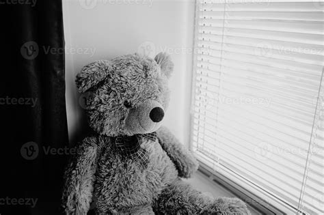 Fluffy brown teddy bear, sitting on the window. 20455870 Stock Photo at ...