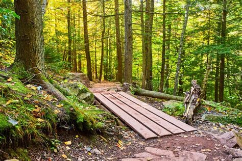 Stunning Hiking Trail through Early Fall Woods with Wood Plank Pallet Bridge Stock Image - Image ...