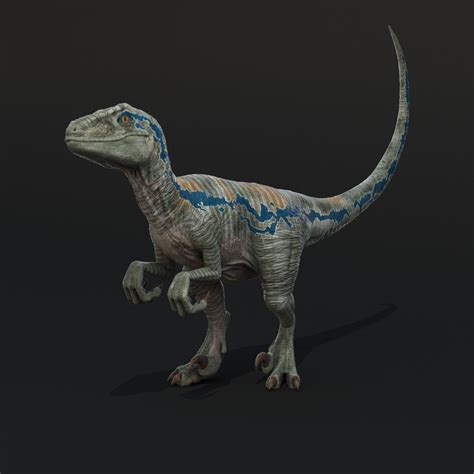 realistic velociraptor rigged raptor 3d max | Blue jurassic world, Jurassic park world, Jurassic ...