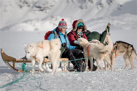 Traîneau à chiens, Groenland, 2024