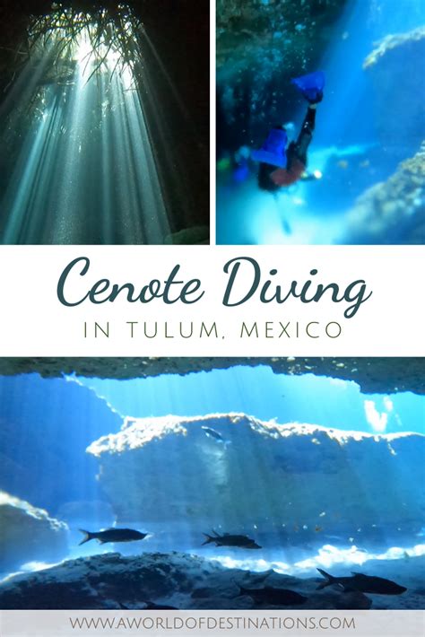 Cenote Diving Tulum - A Unique Adventure on the Yucatán Peninsula