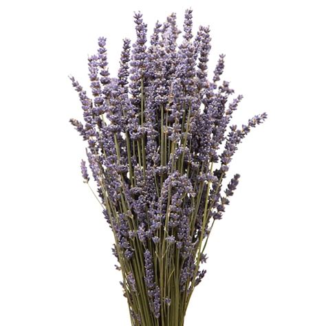 Lavender Bouquet - Etsy