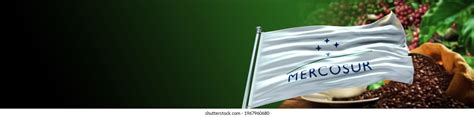 521 Mercosur Flag Images, Stock Photos & Vectors | Shutterstock