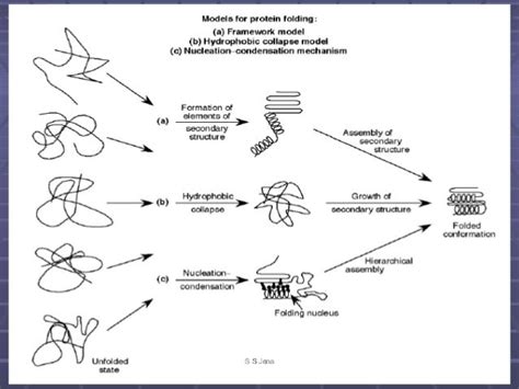 Protein folding @ sid