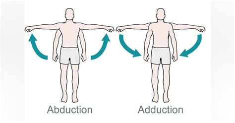 What’s the Difference Between Abduction and Adduction? (Biomechanics) | Machine Design