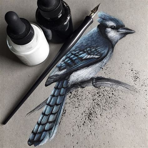 Design Stack: A Blog about Art, Design and Architecture: Realistic Pencil Animal Drawings