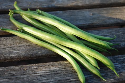 Green Bean Varieties, Types of Green Beans