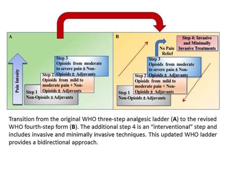 WHO Analgesic Ladder - StatPearls - NCBI Bookshelf