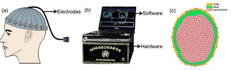 Illustration of the brain EIT system for monitoring dehydration ...