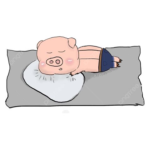 Pig White Transparent, Hand Painted Pig Sleeping Pig, Hand Draw ...