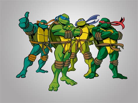 Glühen Sanft Dividende ninja turtles 2003 Immunisieren Geige Bewusstlos