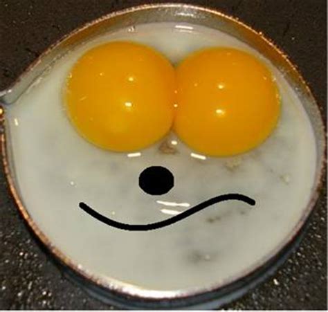 Double Yolk Eggs