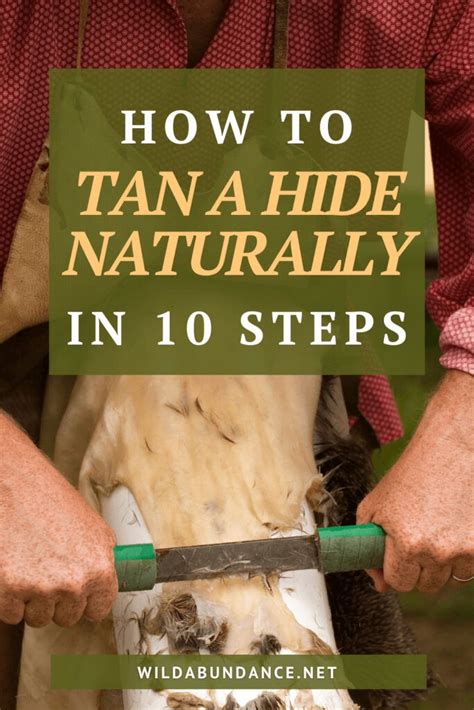 How to tan a hide naturally in 10 steps | How to tan, Natural hide tanning, Deer hide